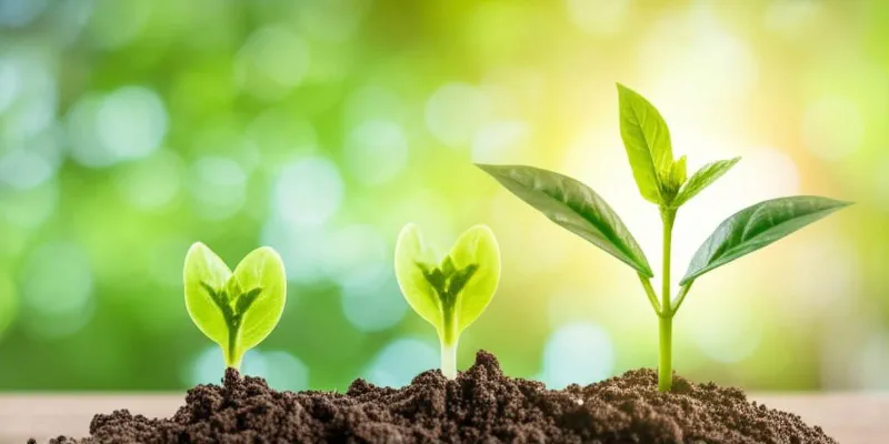 Illustration of a plant growing steadily from coins, representing slow money growth.